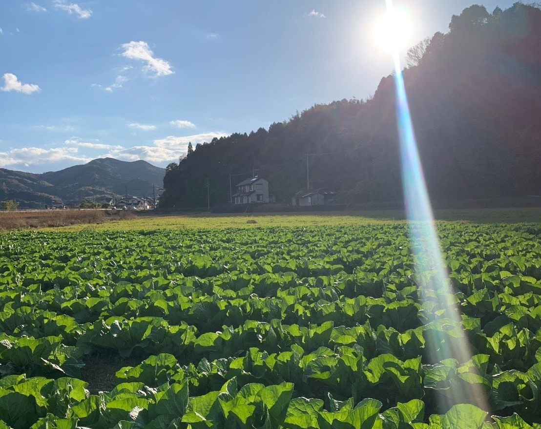 農地を守ること