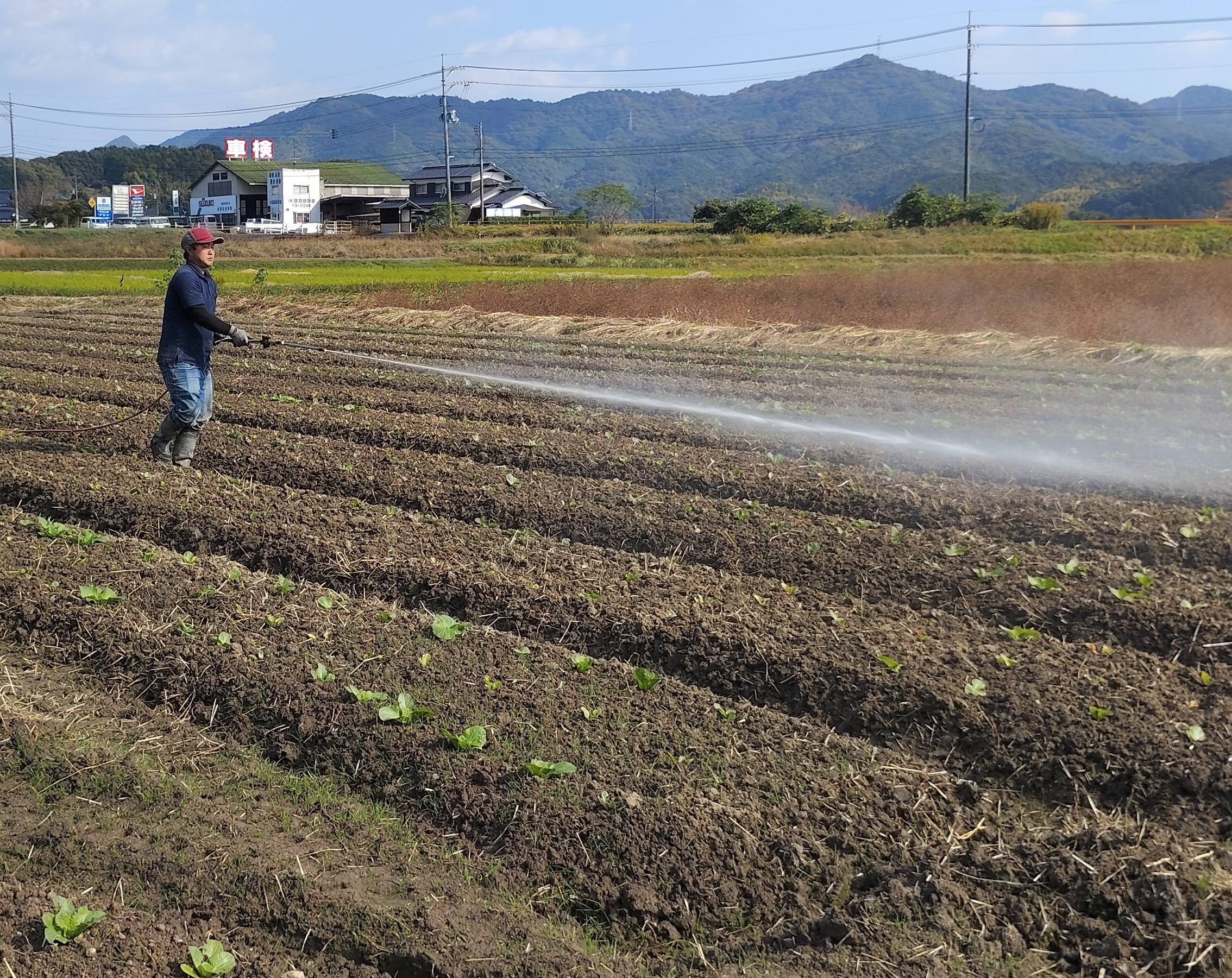 ひと手間を惜しまない農業